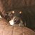 Cherri Holm's profile image