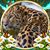 Debbie Atkinson's profile image