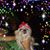 Kathy Hobson's profile image
