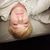 Lillian Slate's profile image
