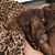 JoAnn Stancer's profile image