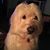 Dee Fallett's profile image