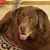 Julie Sorby's profile image