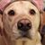 Karen Benson's profile image