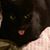 Mildrella Sehon's profile image