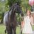 Lauren Knopp's profile image