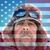 Tracy Rammell's profile image