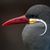 James Hoagland's profile image
