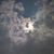 Sheree Ryan Earl's profile image