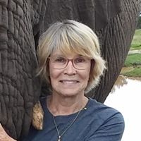 Karen Schaupp's profile image