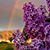 Kerry K Bergenholtz's profile image