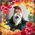 Karen Ahearn Bowman's profile image