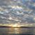 Carolin Pira's profile image