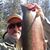 Dirk Chapin's profile image