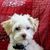 Sandra Adamson Swider's profile image