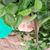 KeriAnn Hollerud's profile image