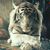 Mike Heffernan's profile image