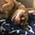 Georgette Hamrick's profile image