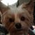 Shirley Covington's profile image