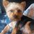 Mary Lee's profile image