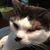 Betty Knauf's profile image
