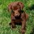 Tammy Wilson Lefanto's profile image