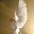 Carol Lynn Bergeron's profile image