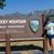 Emily Terris's profile image
