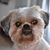 Eli Budulai's profile image