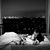 Jennifer Ashley Landers's profile image