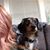 Jennifer Reasoner's profile image