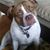 Teresa Brown's profile image