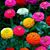 Barb Reau's profile image