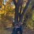 Sharon Clinton-rawson's profile image