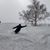 Kevin Schifrin's profile image