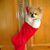 Maria Fitzpatrick's profile image