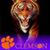 Renee Creswell's profile image
