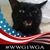 Deb Archer's profile image