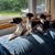 Angelene Stewart Sandefur's profile image