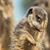 Jacki Martin's profile image