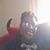 Donna Chenault's profile image