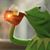 John Frederick's profile image