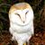 Dianne Pettis Williams's profile image