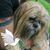Tina Manning's profile image