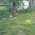 Astoria Goldsby's profile image