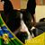 Mayra Bravo's profile image