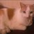 Susan Haddock's profile image