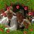 Joanne Buxengard's profile image