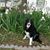 Jack M. Starwalt's profile image