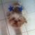 Bonnie Solitaire's profile image